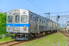 [弘南鉄道大鰐線津軽大沢駅] 553列車、7000系7039F、撮影会を終え、入替を経て入線。前は羽生行表示。