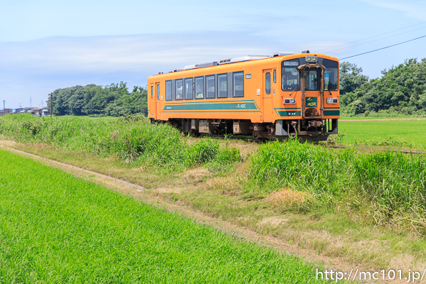 [写真]