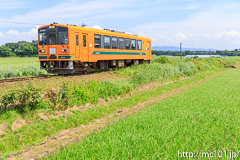 [津軽鉄道川倉～大沢内間] 101列車、津軽21形津軽21-105