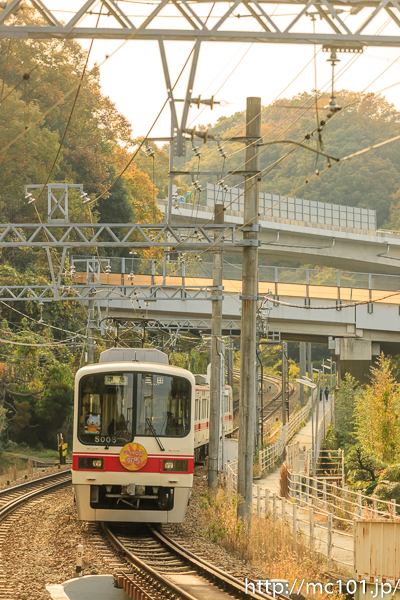 [写真]