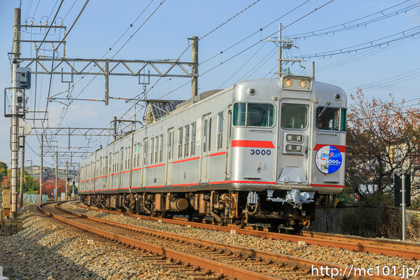 [写真]