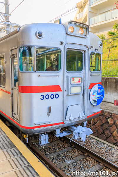[写真]