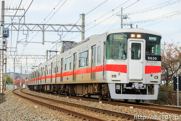 [写真]