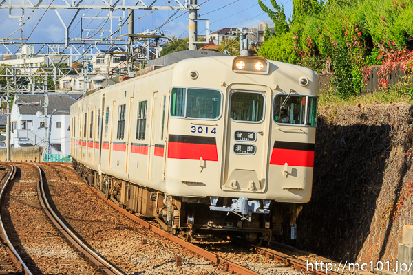 [写真]