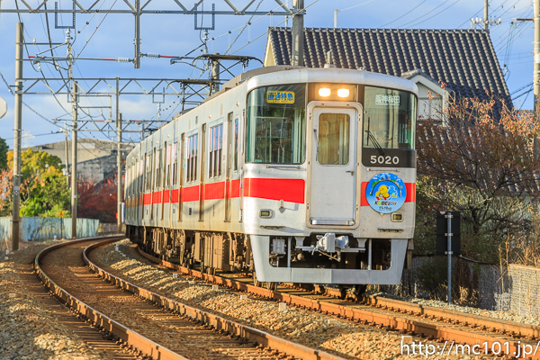 [写真]