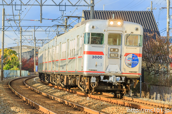 [写真]
