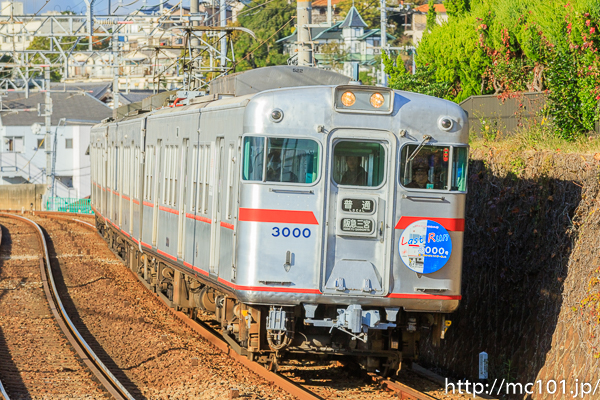[写真]