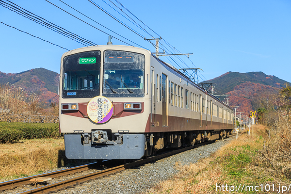 [写真]