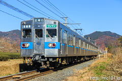 [秩父鉄道野上～長瀞間] 17列車、5000系5003F
