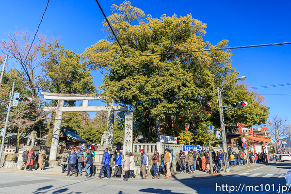 [写真]