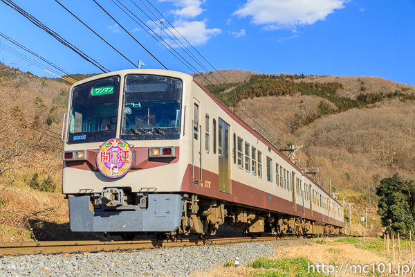 [写真]