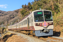 [秩父鉄道波久礼～樋口間] 1006列車急行秩父路6号、6000系6003F、開運号HM付き