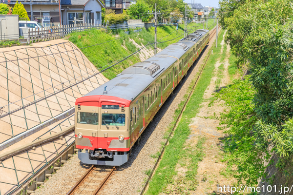 [写真]