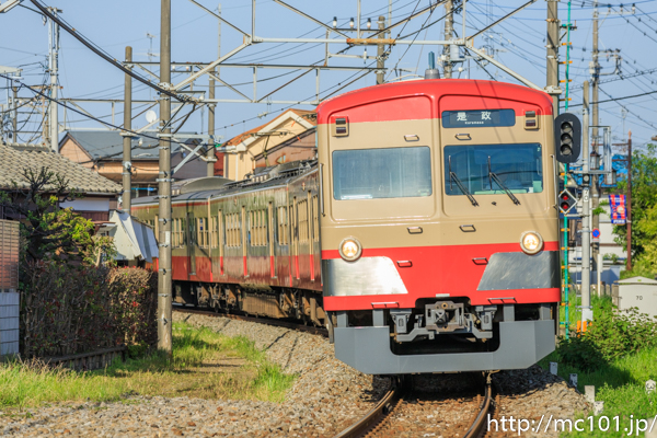 [写真]