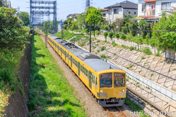 [写真]