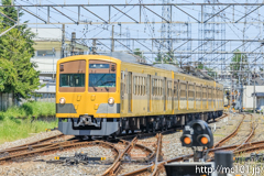 [西武多摩川線白糸台～競艇場前間] 169列車、101系249F