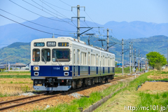 [上田電鉄別所線舞田～八木沢間] 29列車、1000系1004F、まるまどりーむ号mimaki