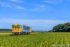 [ひたちなか海浜鉄道湊線金上～中根間] 136列車、キハ37100形キハ37100-03