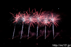 [第24回ひたちなか祭り花火大会] 10. 小型煙火ワイド打ち「夜空の宝石箱」(2)