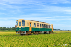 [ひたちなか海浜鉄道湊線金上～中根間] 240列車、キハ3710形キハ3710-01