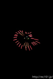 [第24回ひたちなか祭り花火大会] 15. キャラクター花火「アニマルパレード」