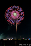 [第44回金沢まつり花火大会] No.58 8寸玉 2発「昇朴付 八重芯散華」(1))