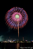 [第44回金沢まつり花火大会] No.58 8寸玉 2発「昇朴付 八重芯散華」(2))