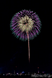 [第44回金沢まつり花火大会] No.21 7寸玉 2発「昇朴付 芯入菊先変化菊」(1))