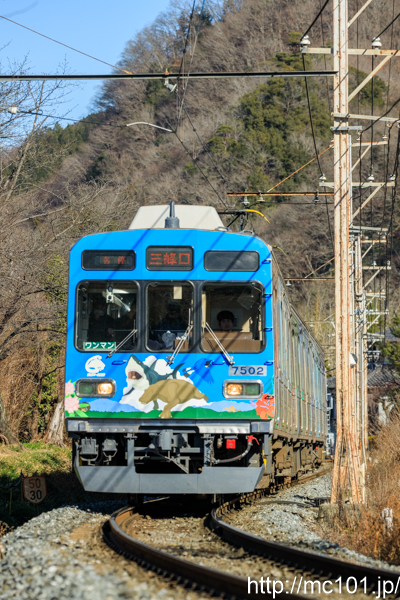 [写真]
