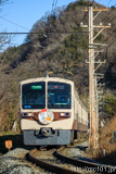 [秩父鉄道長瀞～上長瀞間] 1003列車急行開運3号、6000系6003F