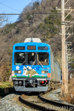 [秩父鉄道長瀞～上長瀞間] 1521列車、7500系7502F、秩父ジオパークトレイン
