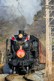 [秩父鉄道長瀞～上長瀞間] 5001列車SL初詣号、C58 363牽引、12系客車