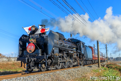 [秩父鉄道ふかや花園～小前田間] 5001列車SL初詣号、C58 363牽引、12系客車