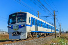 [秩父鉄道ふかや花園～小前田間] 1003列車急行開運3号、6000系6001F