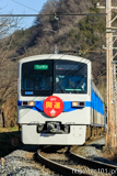[秩父鉄道長瀞～上長瀞間] 1003列車急行秩父路3号、6000系6002F、開運号HM付き
