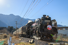 [秩父鉄道武州中川～武州日野間] 5002列車SLちちぶストロベリーエクスプレス、C58 363牽引、12系客車