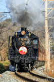 [秩父鉄道長瀞～上長瀞間] 5001列車SLちちぶストロベリーエクスプレス、C58 363牽引、12系客車