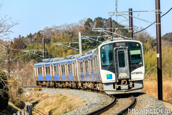 [写真]