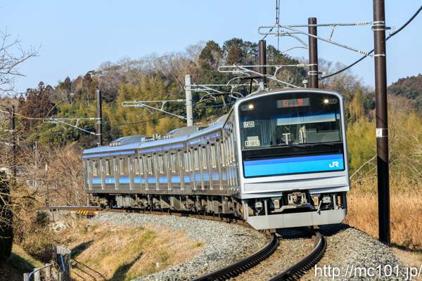 [写真]