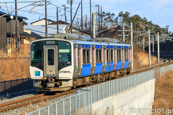 [写真]