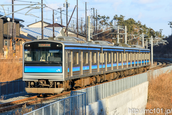 [写真]