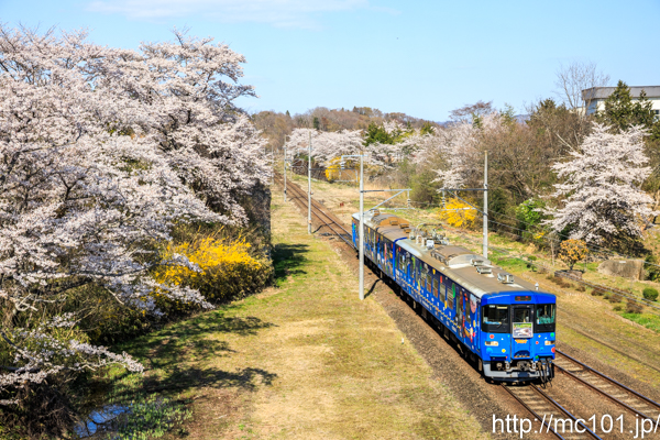 [写真]