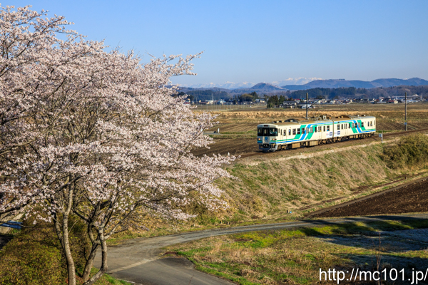 [写真]
