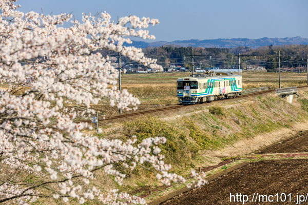 [写真]