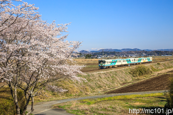 [写真]