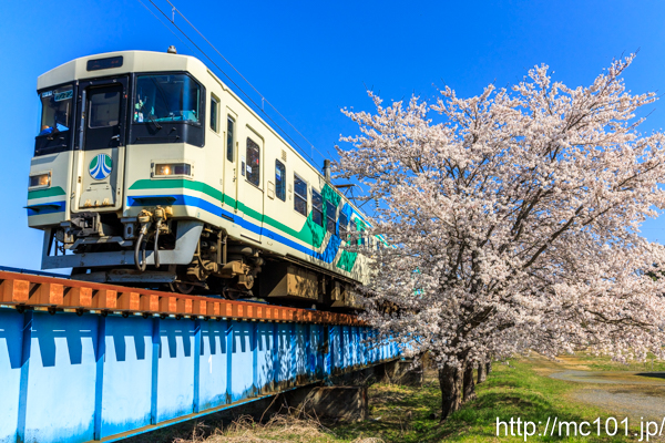 [写真]