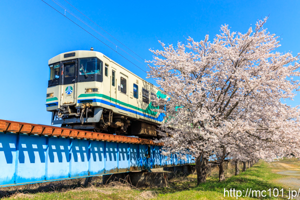 [写真]