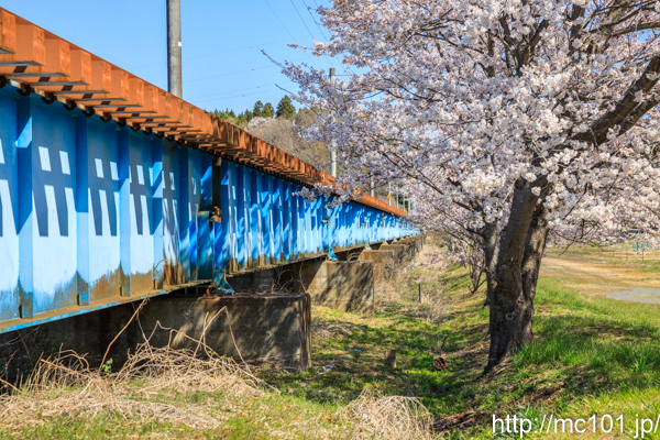 [写真]