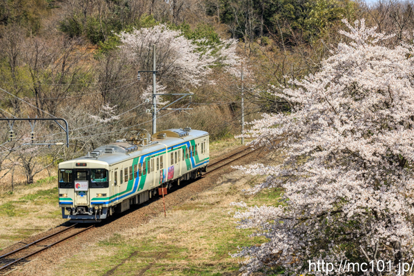 [写真]