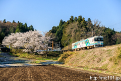 [阿武隈急行横倉～岡間] 901M、8100系A-17編成